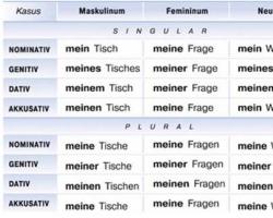 Притяжательные и личные местоимения в немецком языке